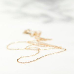 14K Catbird Yellow Gold Chain